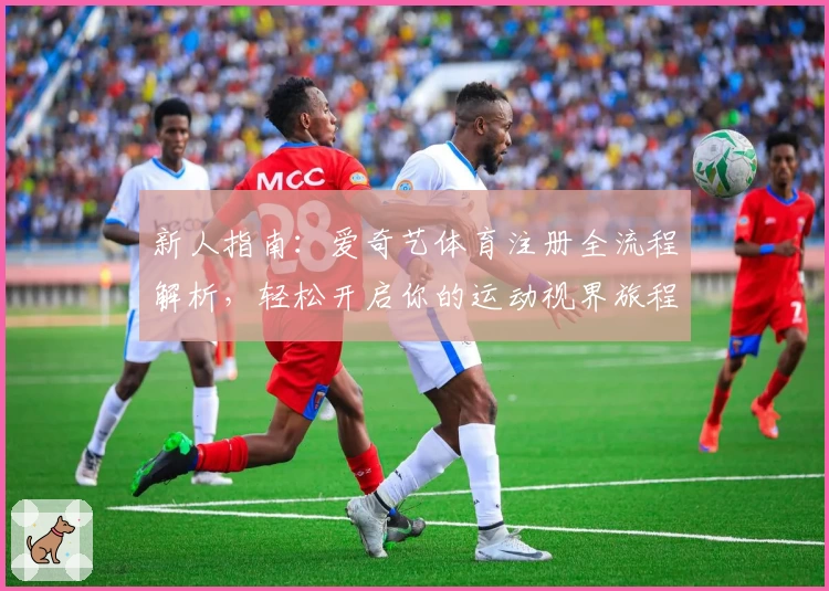 新人指南：爱奇艺体育注册全流程解析，轻松开启你的运动视界旅程