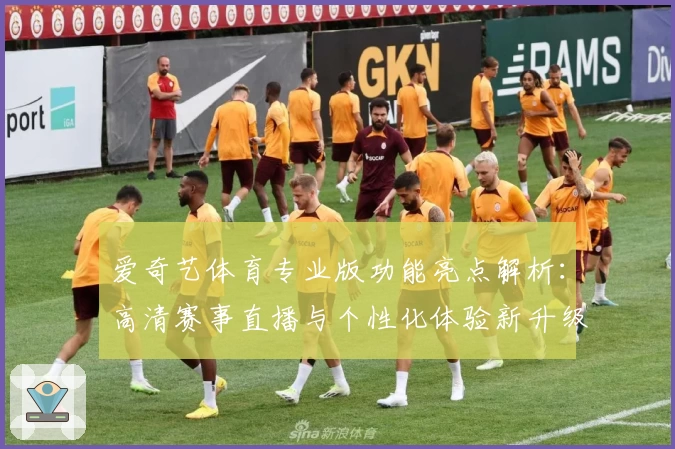 爱奇艺体育专业版功能亮点解析：高清赛事直播与个性化体验新升级
